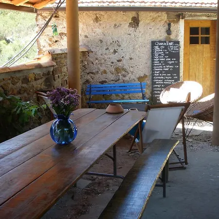 Gasthuis Agro-turismo Quinta Da Fonte Enchecamas