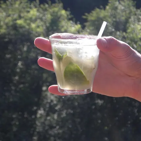 بيت ضيافة Agro-turismo Quinta Da Fonte Enchecamas