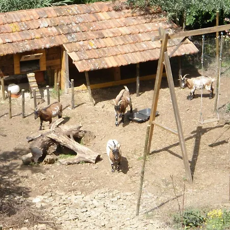 Agro-turismo Quinta Da Fonte * Enchecamas