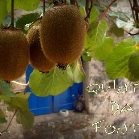 Agro-turismo Quinta Da Fonte Enchecamas