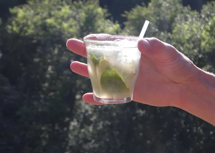 ゲストハウス Agro-turismo Quinta Da Fonte Enchecamas