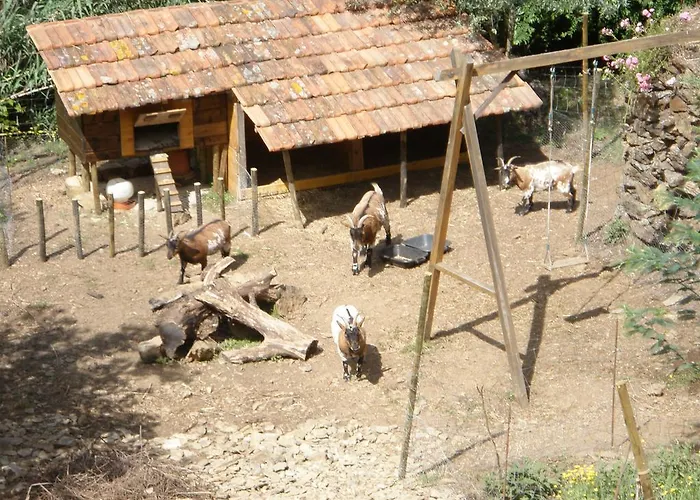 Agro-turismo Quinta Da Fonte * Enchecamas