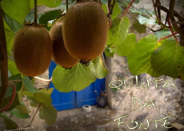 Agro-turismo Quinta Da Fonte Enchecamas