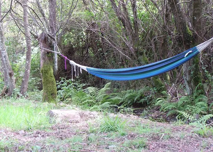 Agro-turismo Quinta Da Fonte ゲストハウス Enchecamas