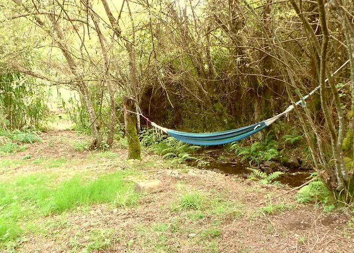 Agro-turismo Quinta Da Fonte ゲストハウス